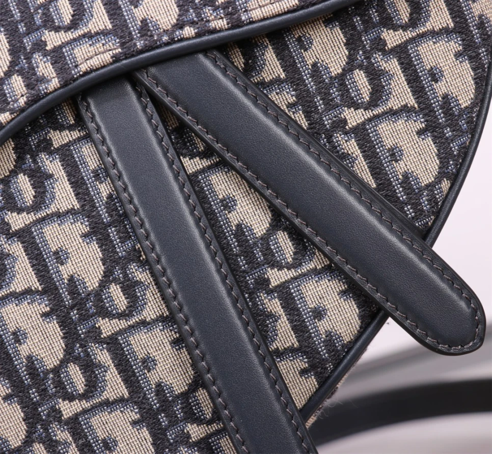 dior-saddle-handbag-oblique-jacquard thumbnail 9